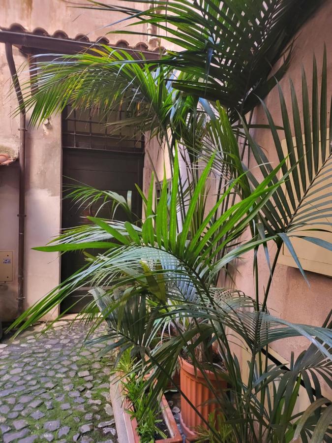 The Fox Cove Apartment Roma Ngoại thất bức ảnh